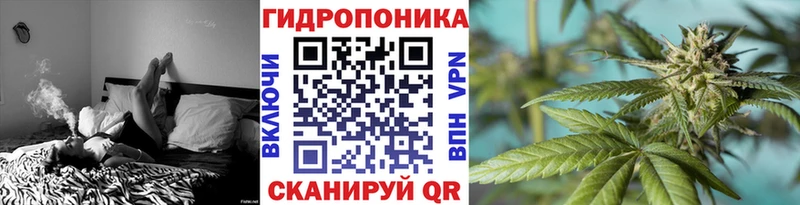 Шишки марихуана OG Kush  Лиски 